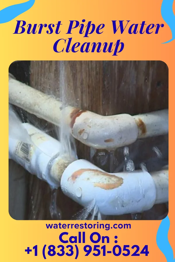 Burst Pipe Water Cleanup in Griffith Creek, TN