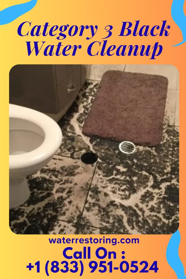 Category 3 Black Water Cleanup in Griffith Creek, TN