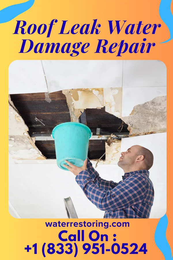 Roof Leak Water Damage Repair in Griffith Creek, TN