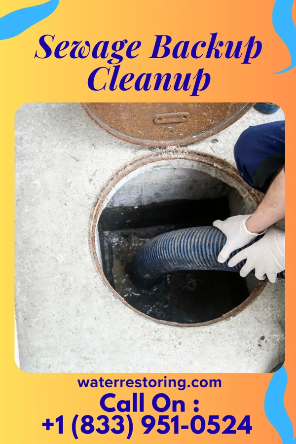 Sewage Backup Cleanup in Griffith Creek, TN